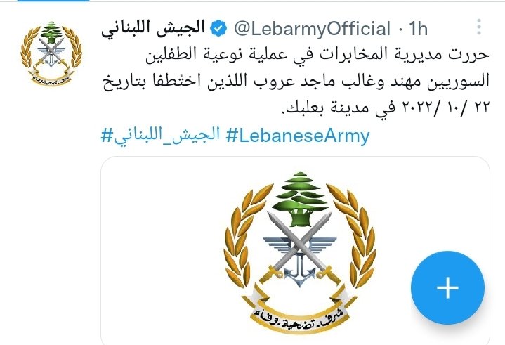 بعد تعرضهما لتعذيب الجيش يحرر الطفلين الشقيقين