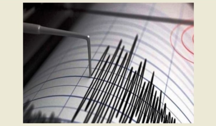 هل سجلت هزة في لبنان الليلة؟