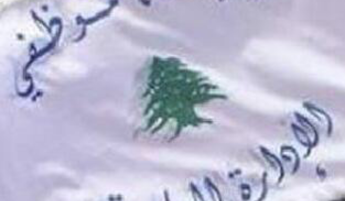 موظفو الإدارة العامة الى الاعتصام أمام السراي الحكومي