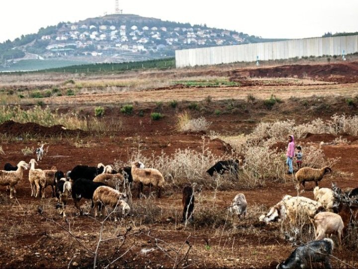 تخوف من حدث أمني جنوبا