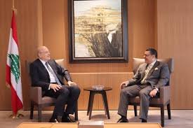 ميقاتي التقى العدوي واطلع منه على اجواء القمة التي تستضيفها مصر غدا